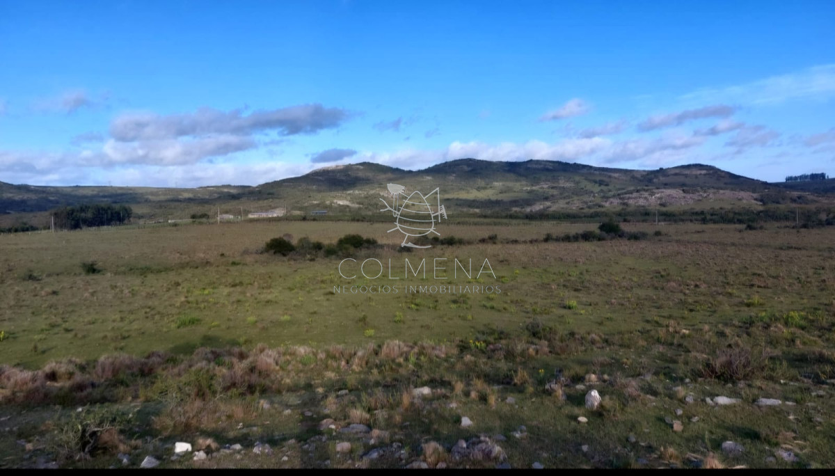 Campos de 6 y 5 has en los Caracoles 35 minutos de Punta del Este - GoPunta - Portal Inmobiliario de Punta del Este - Maldonado
