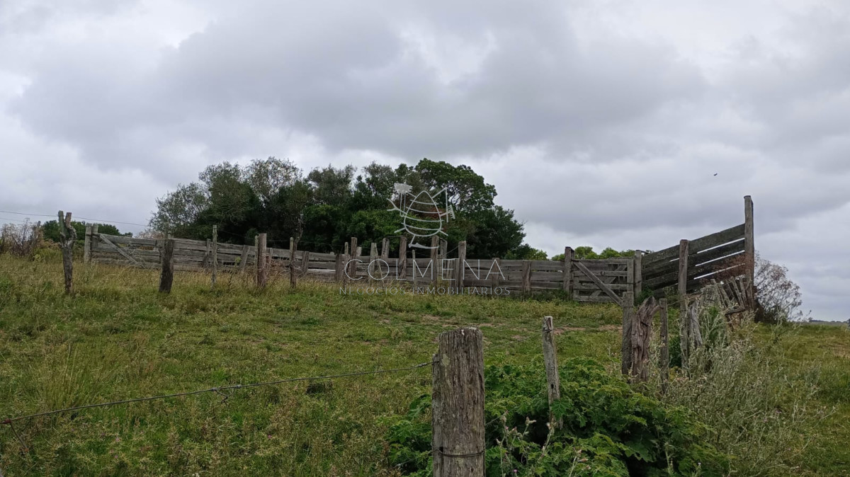 Campo en la coronilla con casco. - GoPunta - Portal Inmobiliario de Punta del Este - Maldonado