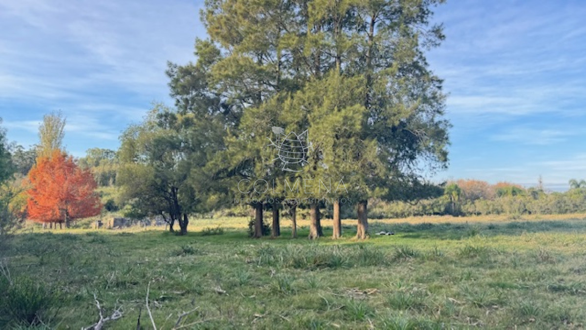 Campo de 4 has 1602 m2 muy cerca de ruta 12 y la 9. - GoPunta - Portal Inmobiliario de Punta del Este - Maldonado