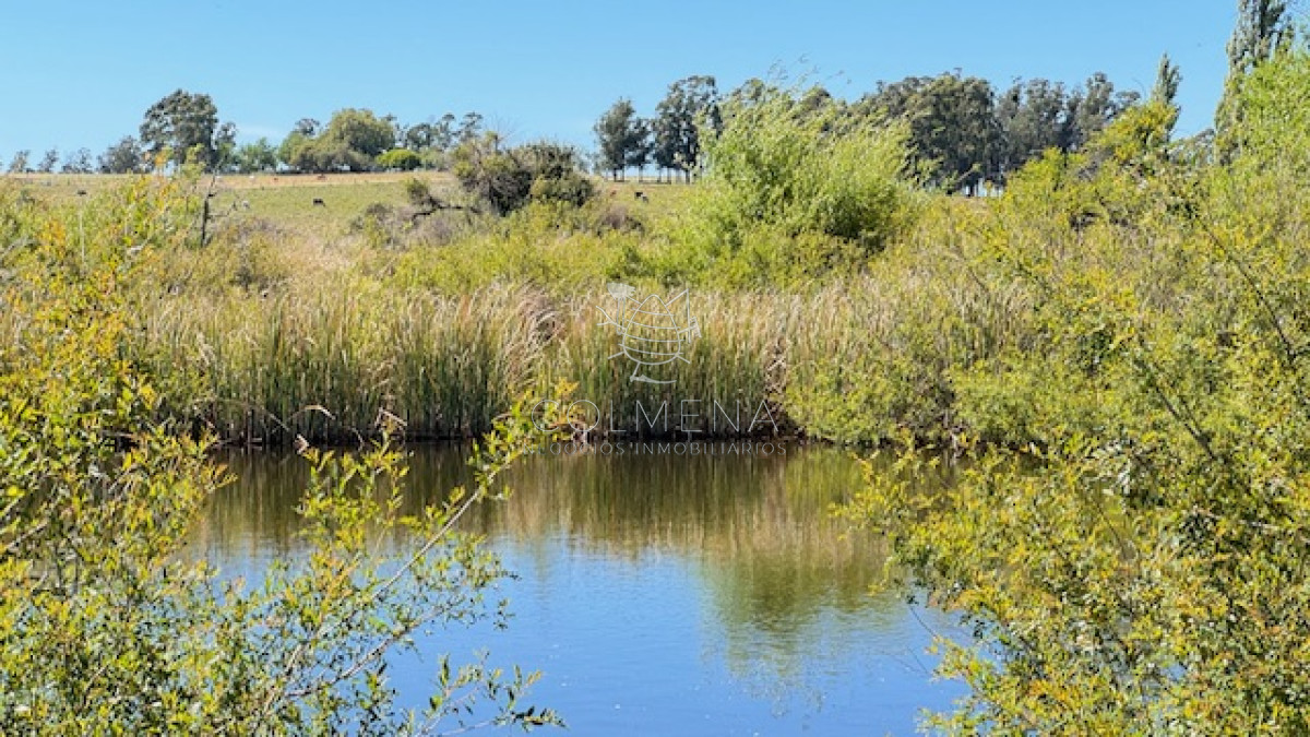 Campo en Paso de la Cantera de San Carlos - GoPunta - Portal Inmobiliario de Punta del Este - Maldonado