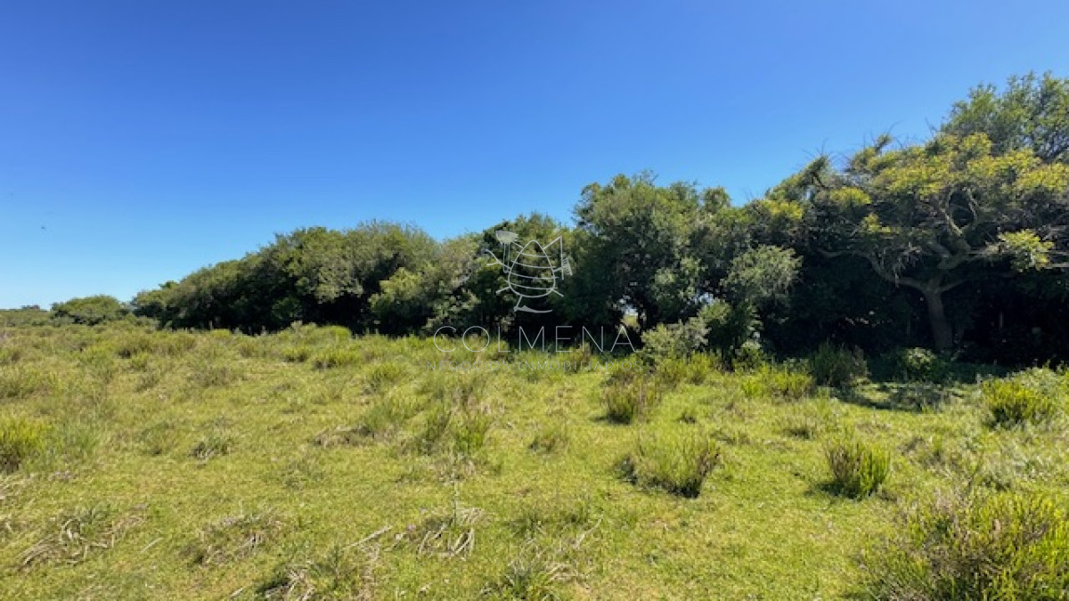 Campo en Paso de la Cantera de San Carlos - GoPunta - Portal Inmobiliario de Punta del Este - Maldonado