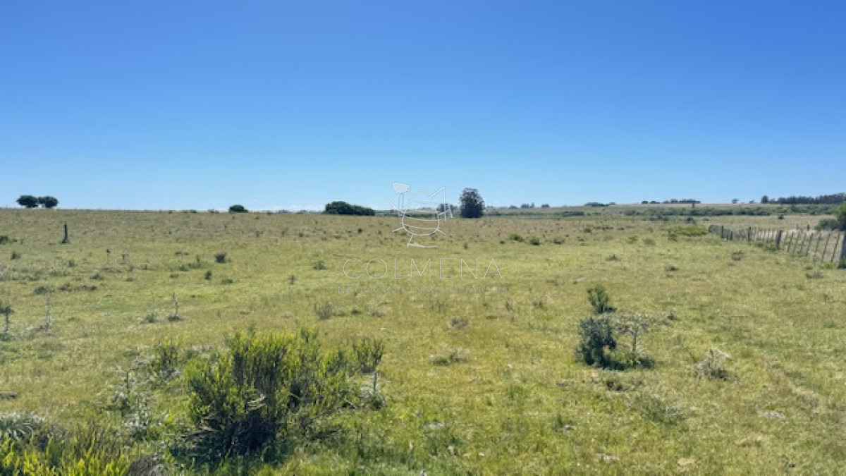 Se venden 2 chacras a 15 km de San Carlos - GoPunta - Portal Inmobiliario de Punta del Este - Maldonado