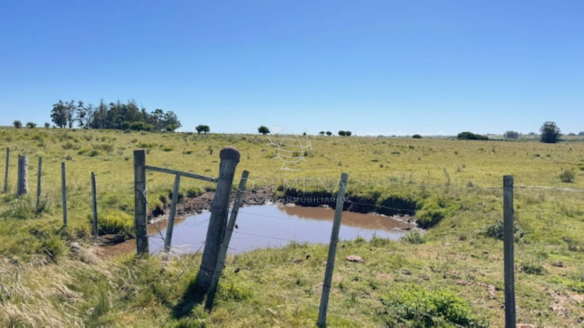 Se venden 2 chacras a 15 km de San Carlos - GoPunta - Portal Inmobiliario de Punta del Este - Maldonado