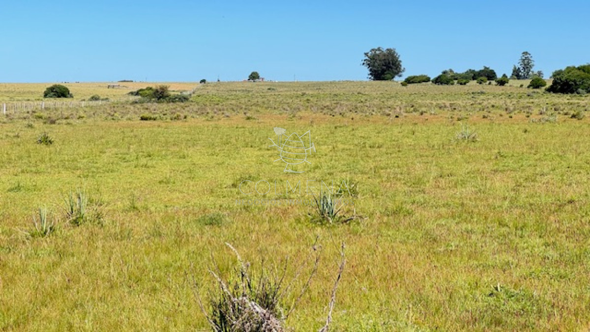 Se venden 2 chacras a 15 km de San Carlos - GoPunta - Portal Inmobiliario de Punta del Este - Maldonado