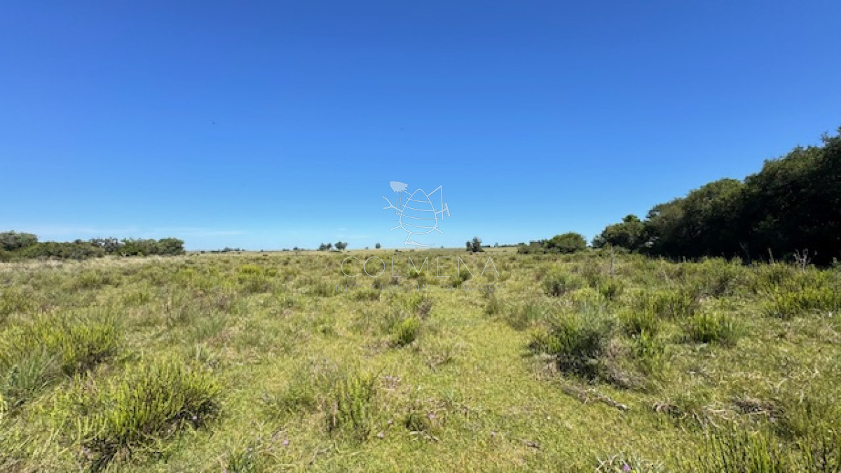 Se venden 2 chacras a 15 km de San Carlos - GoPunta - Portal Inmobiliario de Punta del Este - Maldonado