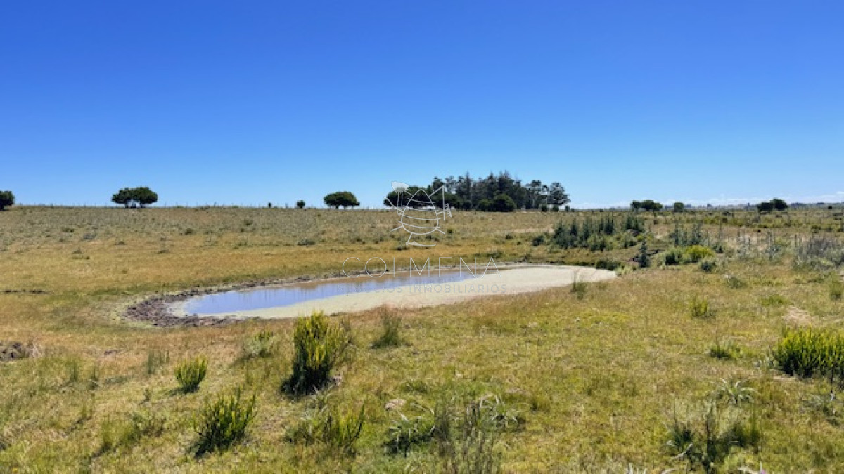 Se venden 2 chacras a 15 km de San Carlos - GoPunta - Portal Inmobiliario de Punta del Este - Maldonado