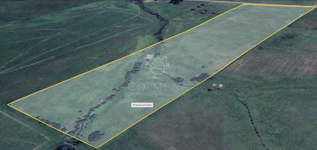 Campo en Partido Norte - GoPunta - Portal Inmobiliario de Punta del Este - Maldonado