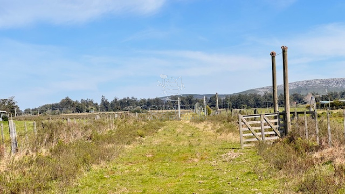 Campo 11 has en los ceibos - GoPunta - Portal Inmobiliario de Punta del Este - Maldonado