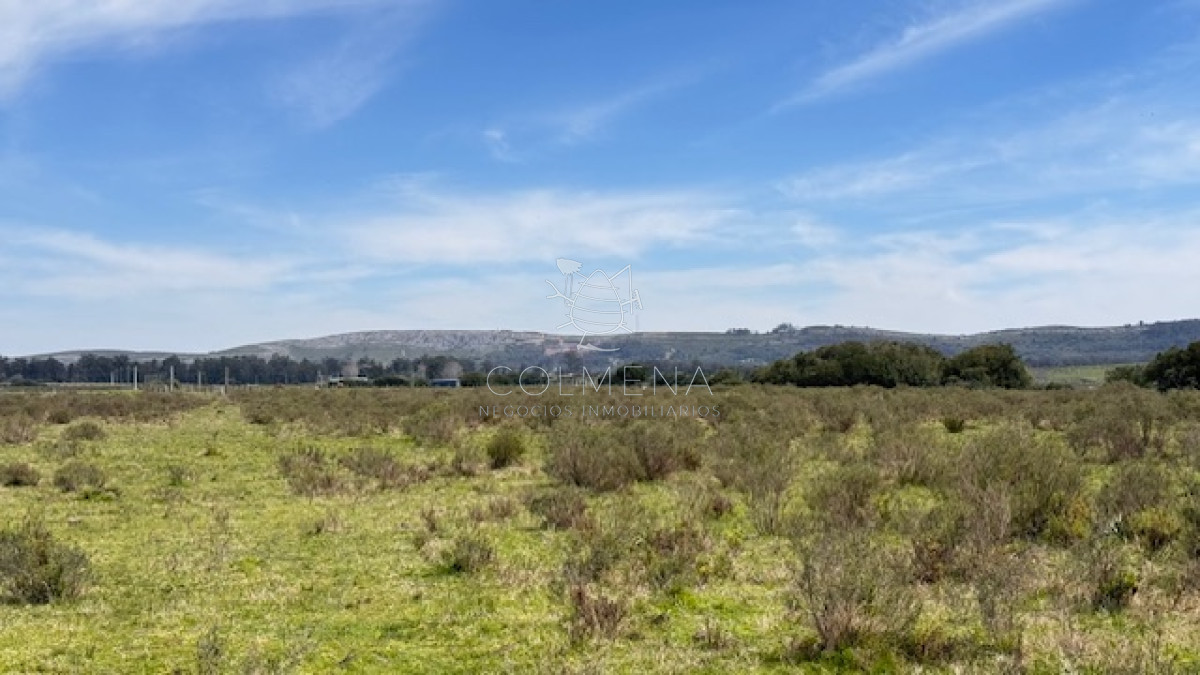 Campo 11 has en los ceibos - GoPunta - Portal Inmobiliario de Punta del Este - Maldonado