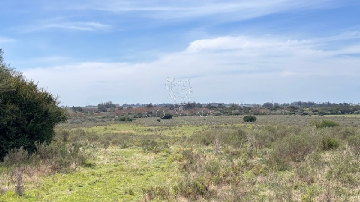 Campo 11 has en los ceibos - GoPunta - Portal Inmobiliario de Punta del Este - Maldonado