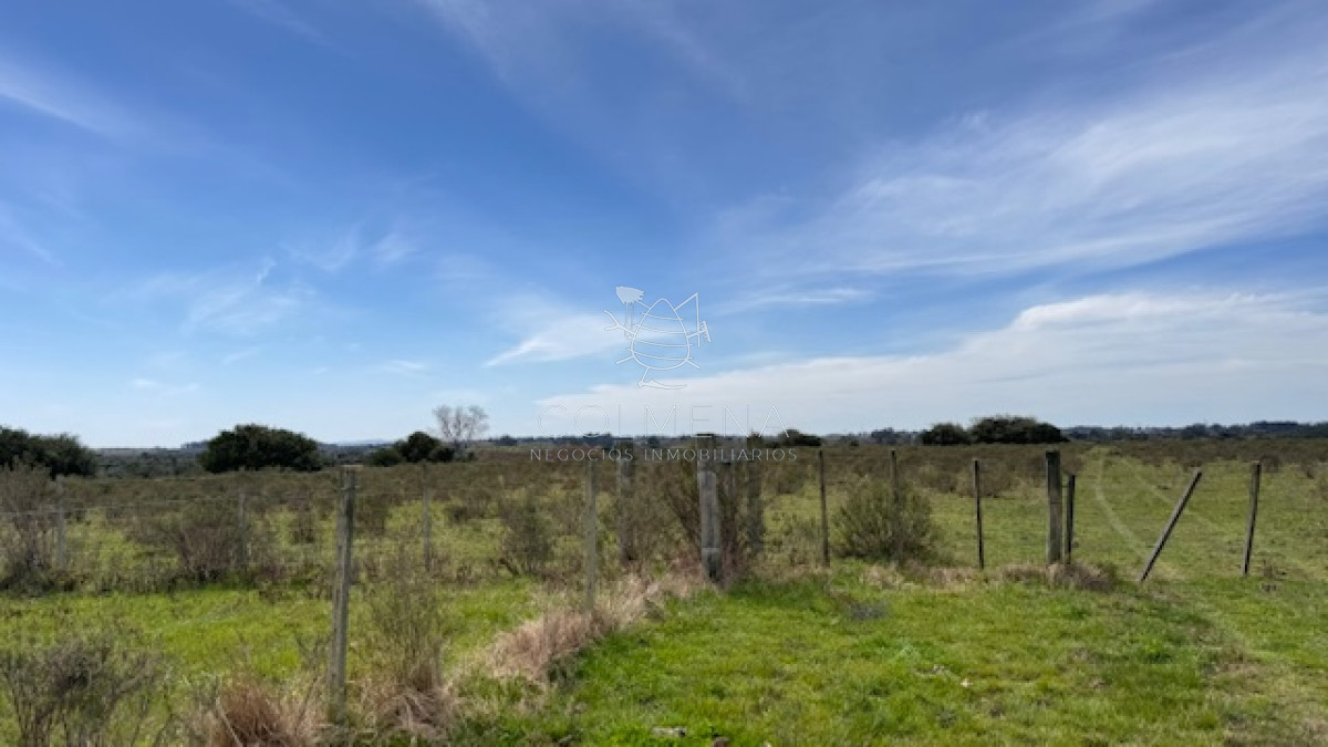 Campo 11 has en los ceibos - GoPunta - Portal Inmobiliario de Punta del Este - Maldonado