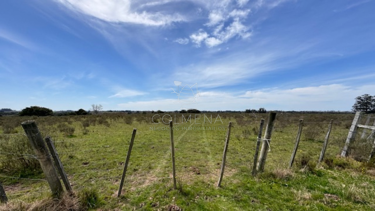 Campo 11 has en los ceibos - GoPunta - Portal Inmobiliario de Punta del Este - Maldonado