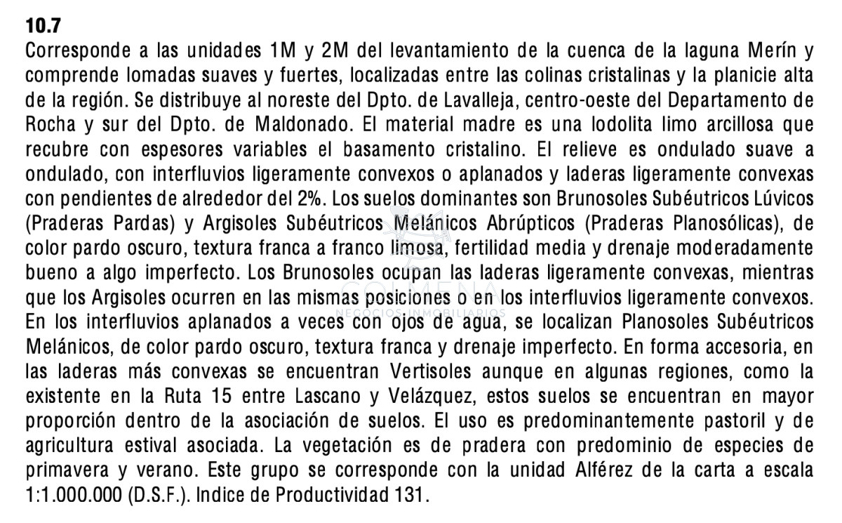 Campo en Rocha - GoPunta - Portal Inmobiliario de Punta del Este - Maldonado