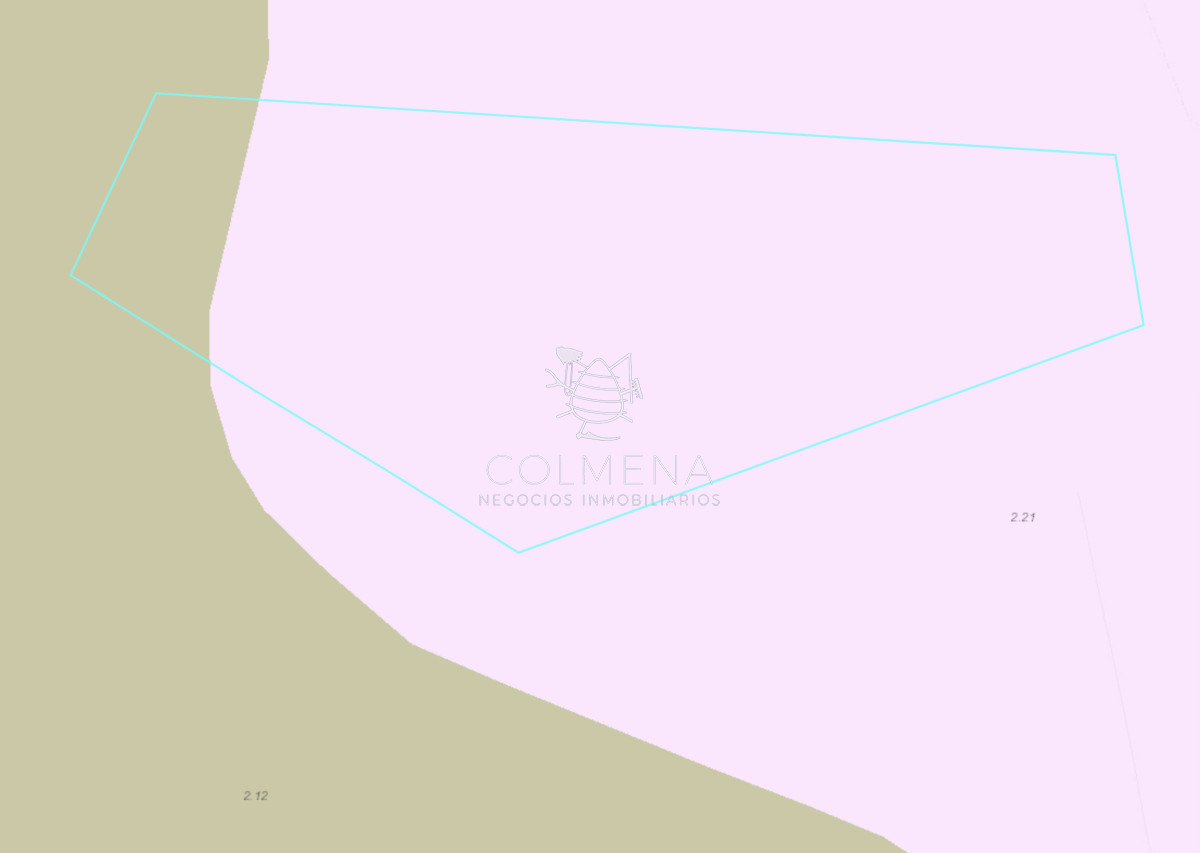 Campo 26 has sobre camino los Molles - GoPunta - Portal Inmobiliario de Punta del Este - Maldonado