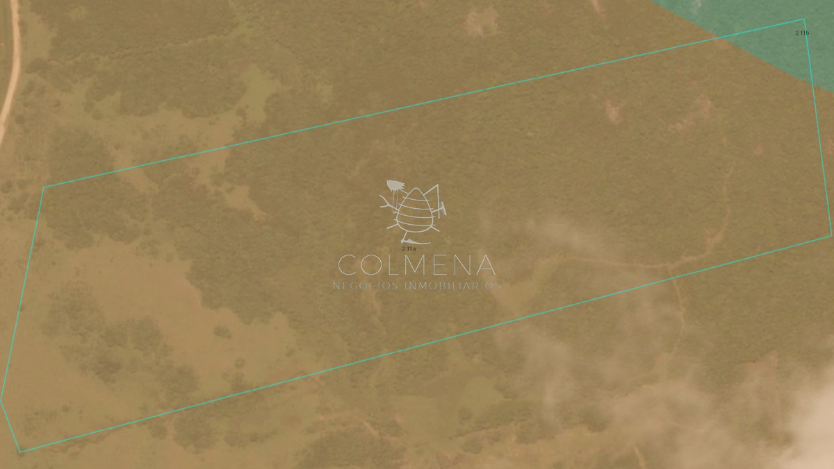 Campo de 29 has con 4067 m2 en las Sierras de Garzon. - GoPunta - Portal Inmobiliario de Punta del Este - Maldonado