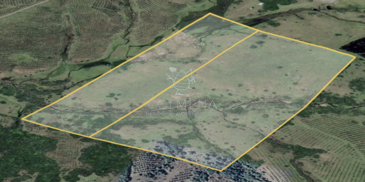 Campo en Pueblo Eden - COL9993P