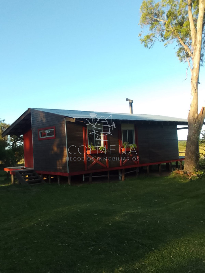 Campo de 11 has en los ceibos con 2 casas a 15 km de Punta del este - GoPunta - Portal Inmobiliario de Punta del Este - Maldonado