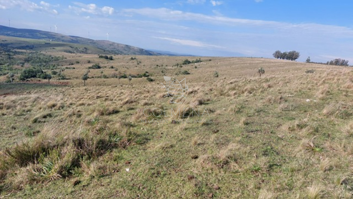 Campo de 80 has en Paraje Carape con costa de arroyo. - GoPunta - Portal Inmobiliario de Punta del Este - Maldonado