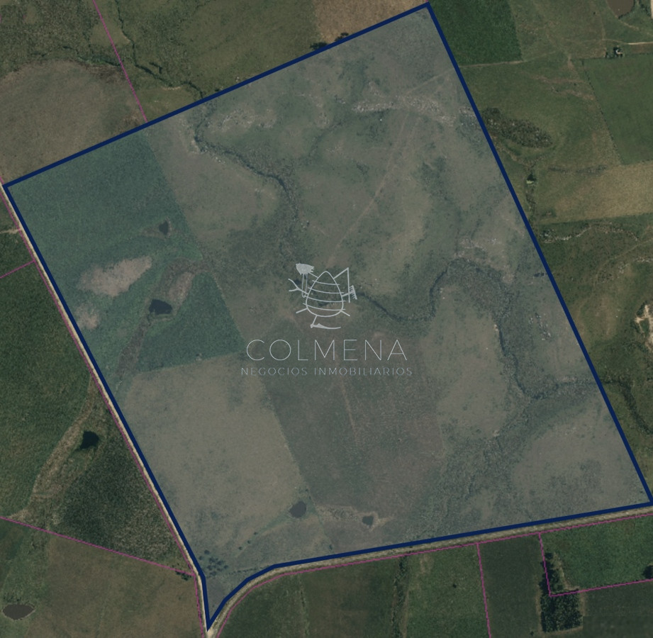 Campo en Florida agrícola ganadero - GoPunta - Portal Inmobiliario de Punta del Este - Maldonado