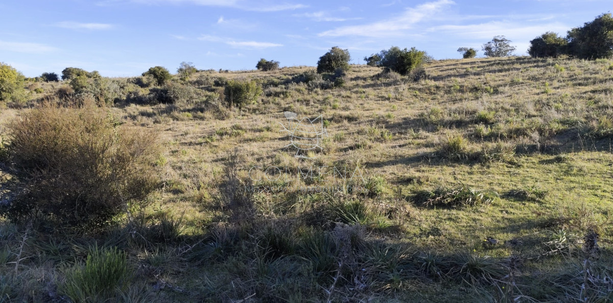Campo 5 has en Paso Dutra - GoPunta - Portal Inmobiliario de Punta del Este - Maldonado