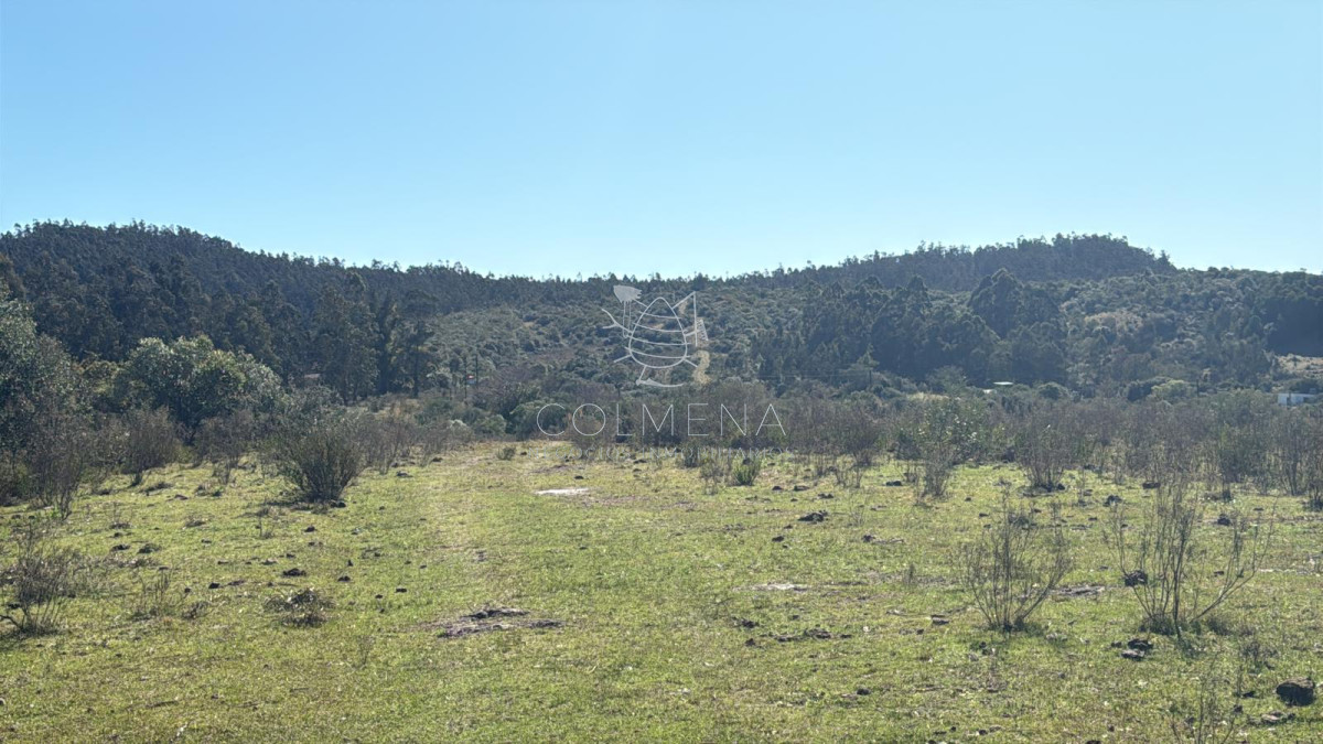 Campo cerca de Ciudad de Aigua - GoPunta - Portal Inmobiliario de Punta del Este - Maldonado