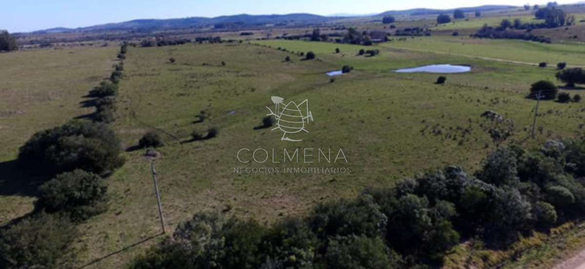 Campo en Zanja Chavez con costa de arroyo, caña y monte natural. - GoPunta - Portal Inmobiliario de Punta del Este - Maldonado