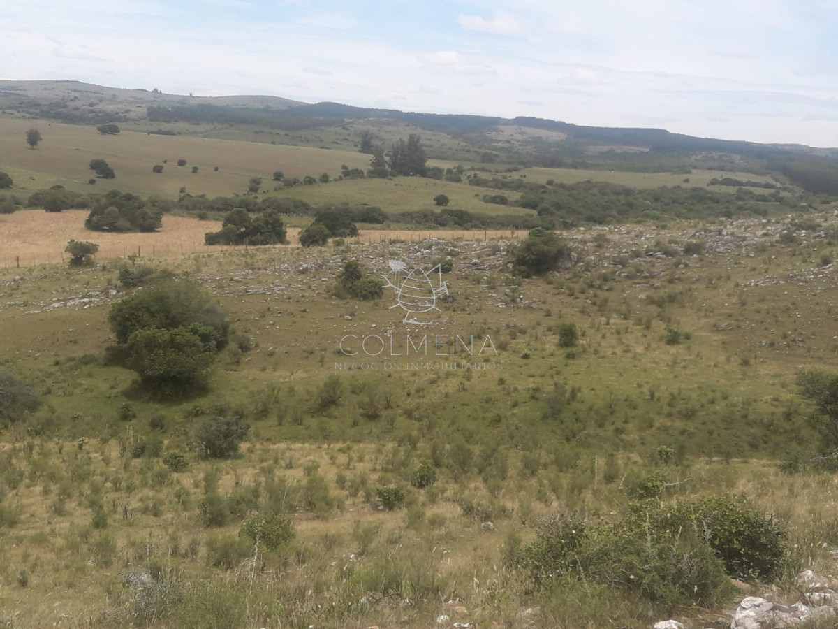 Campo 5 has Cerca de Pueblo Eden   Codigo 5463 - GoPunta - Portal Inmobiliario de Punta del Este - Maldonado