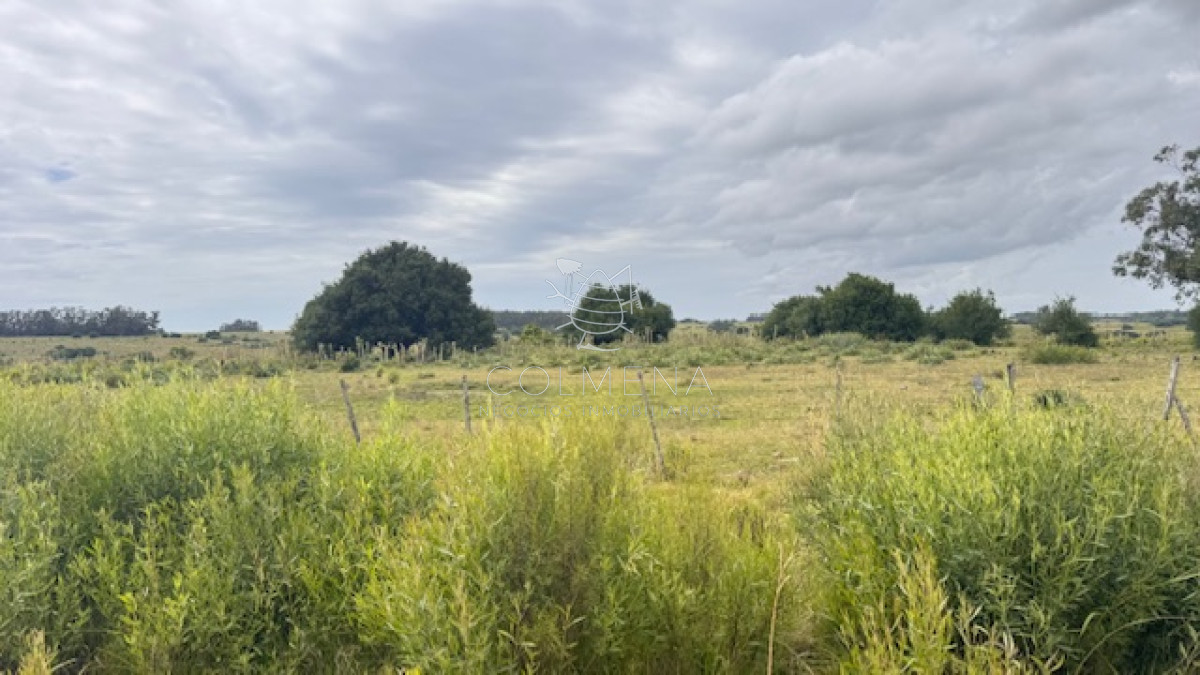 Campo sobre camino los molles y Pueblo Garzón. - GoPunta - Portal Inmobiliario de Punta del Este - Maldonado