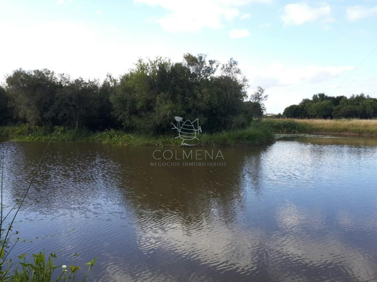 Campo en Garzon cerca del Pueblo Garzon - GoPunta - Portal Inmobiliario de Punta del Este - Maldonado