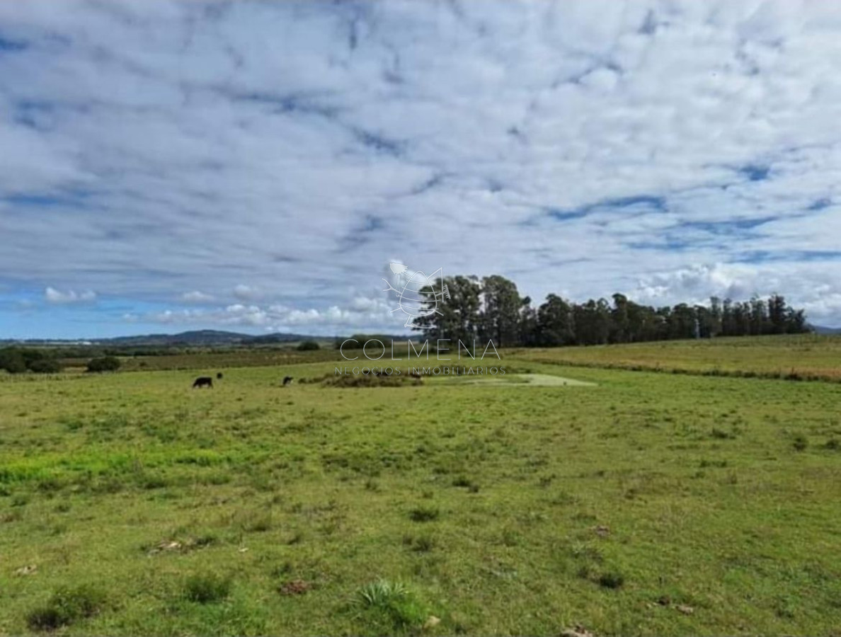 Chacra de 7 has 5437 m2 en los Ceibos - GoPunta - Portal Inmobiliario de Punta del Este - Maldonado