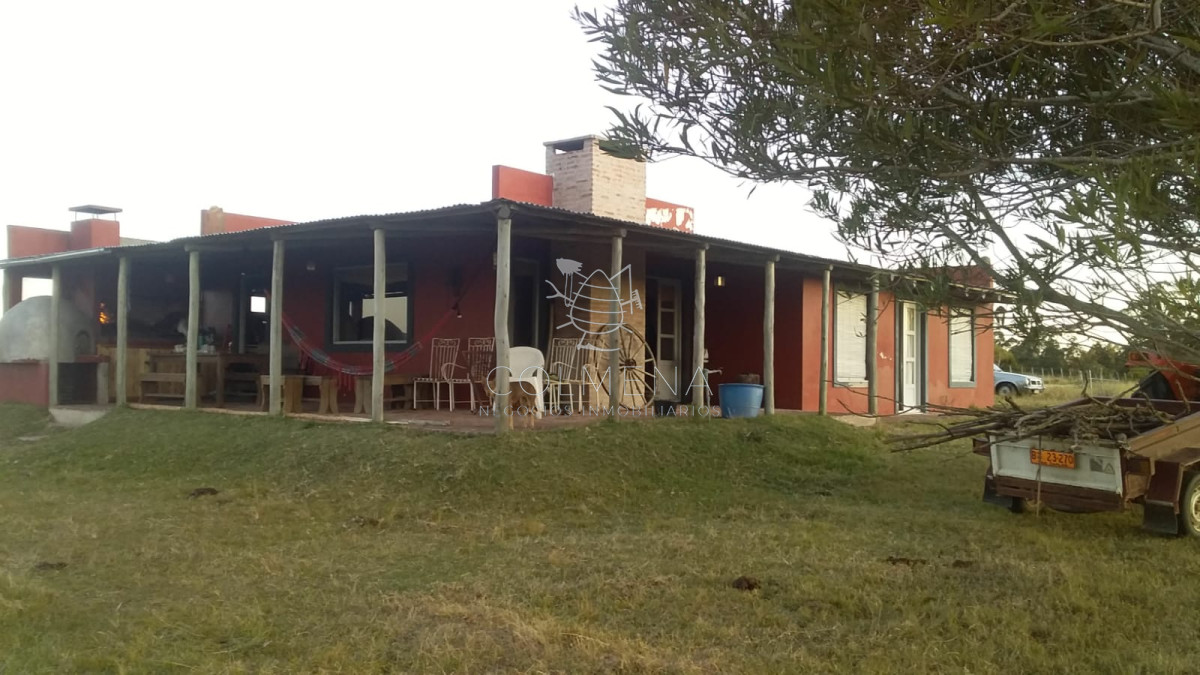 Campo 24 has Casa, galpon, Luz, costa de arroyo y un indice de suelo 10.7   Consulte!!!!! - GoPunta - Portal Inmobiliario de Punta del Este - Maldonado