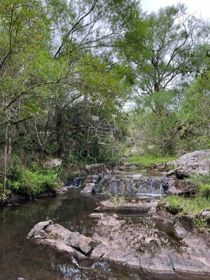 Campo en Carape   con hermosa cañada   Oportunidad !!!!! - GoPunta - Portal Inmobiliario de Punta del Este - Maldonado