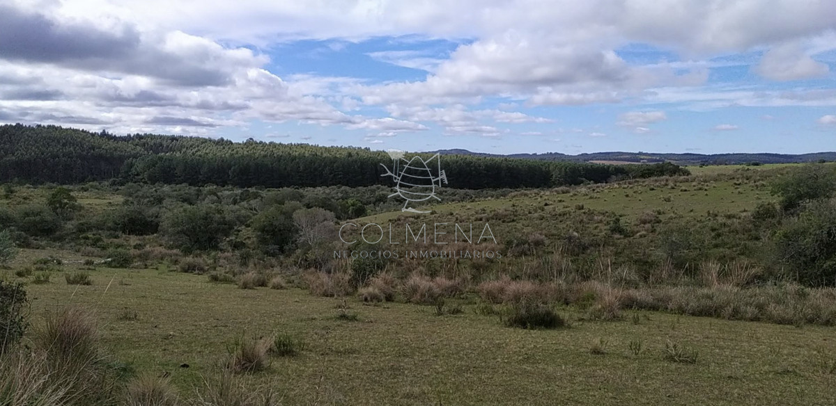 Campo 20 has con 2378 m2 en camino de las sierras de garzón - GoPunta - Portal Inmobiliario de Punta del Este - Maldonado