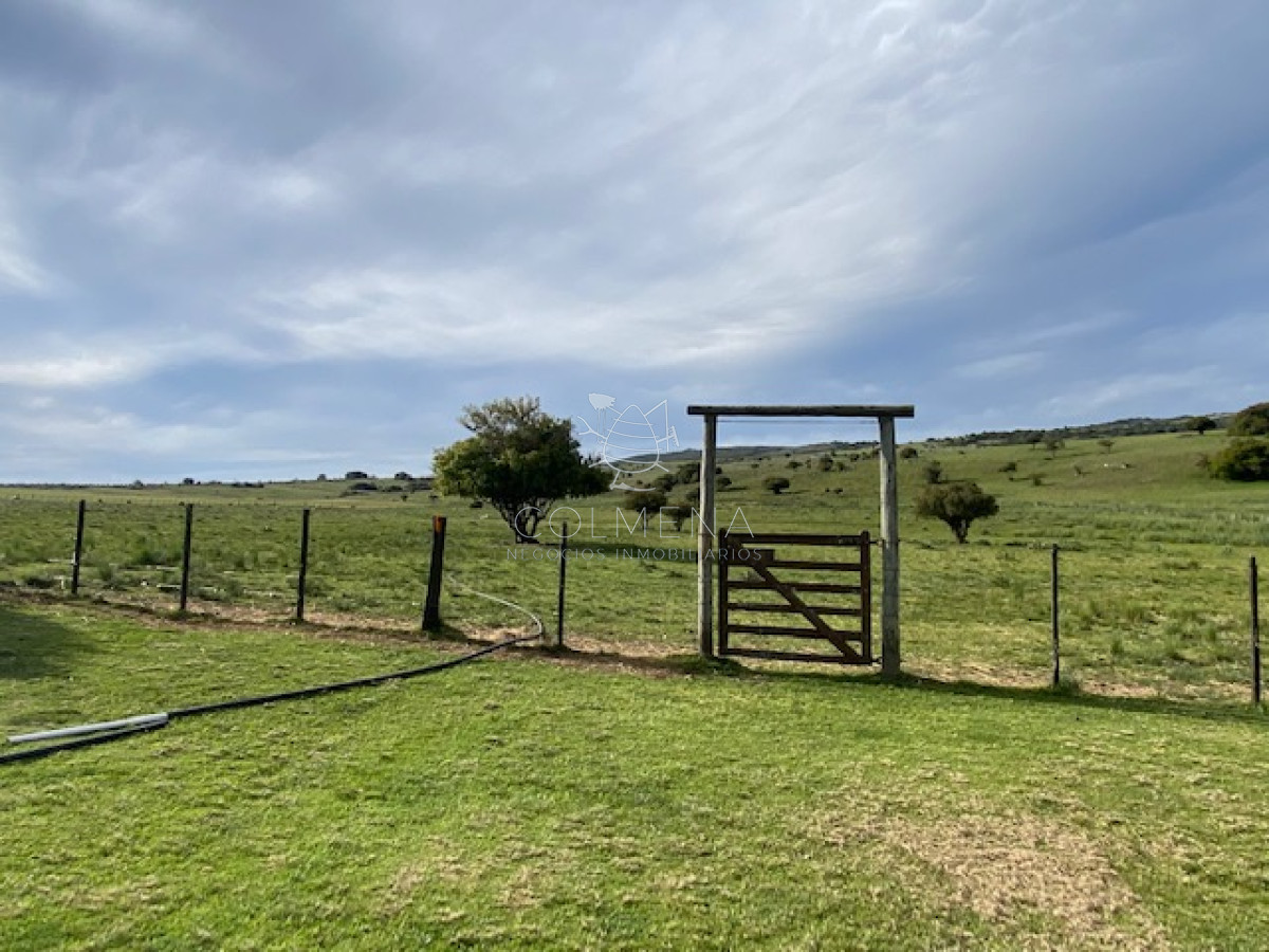 Campo 22 has con casa, cerca de pueblo Edén - GoPunta - Portal Inmobiliario de Punta del Este - Maldonado