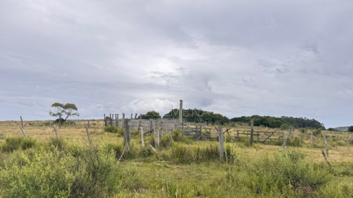 Campo de 78 has en Garzon - GoPunta - Portal Inmobiliario de Punta del Este - Maldonado
