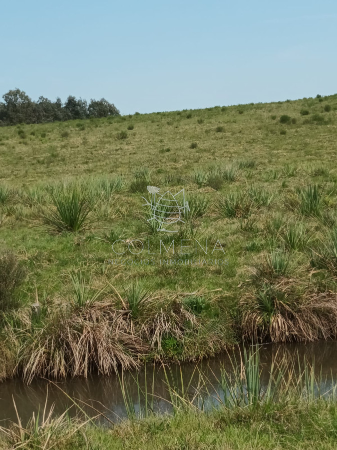 Campo en paraje Jose Ignacio cerca de la ruta 9 - GoPunta - Portal Inmobiliario de Punta del Este - Maldonado