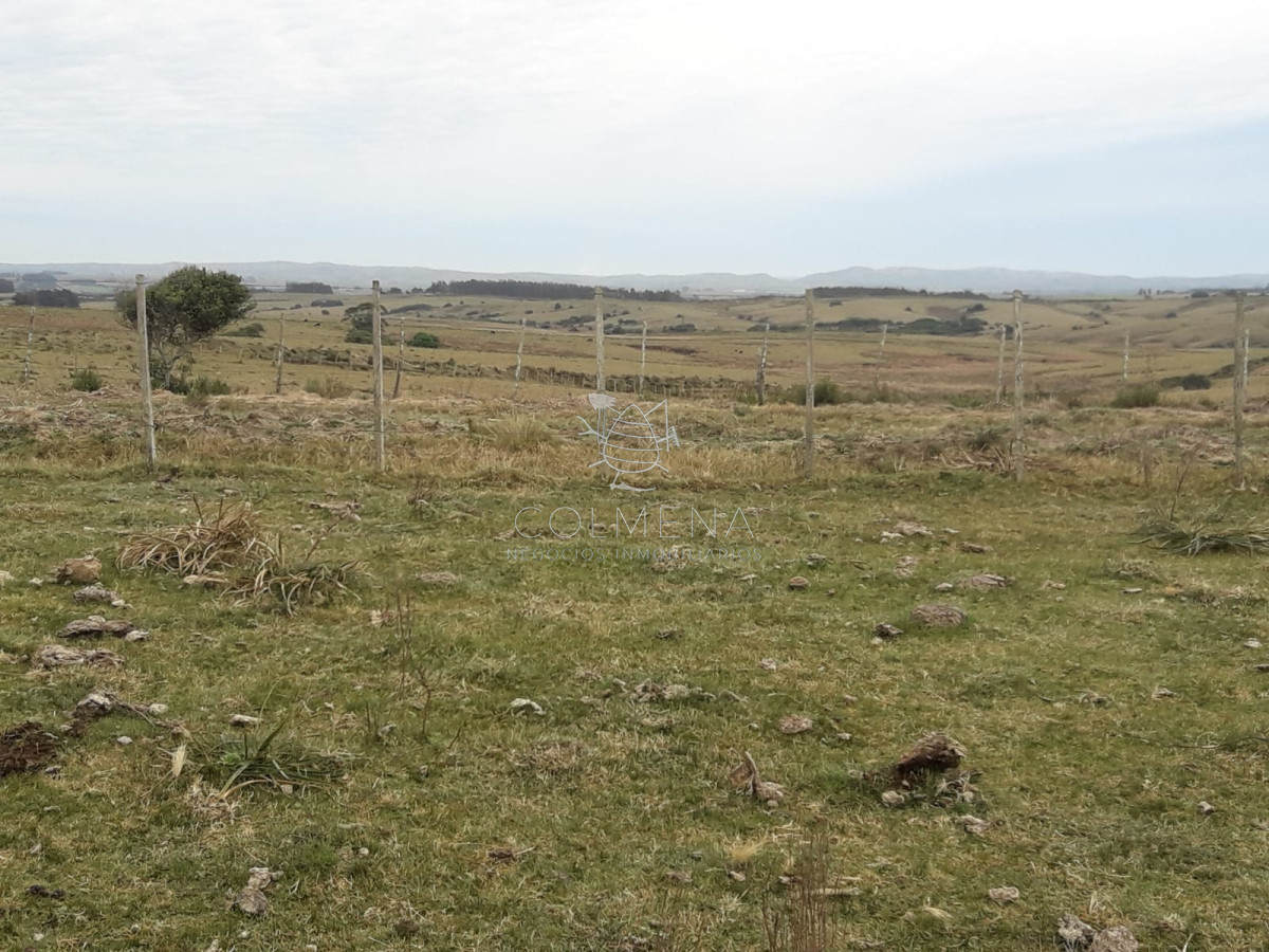 Campo de 6 has en Garzon. Consulte!!!!!!!! - GoPunta - Portal Inmobiliario de Punta del Este - Maldonado