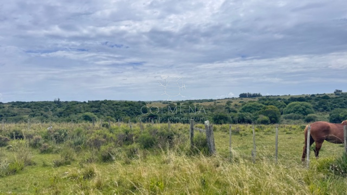 Campo sobre camino los molles y Pueblo Garzón. - GoPunta - Portal Inmobiliario de Punta del Este - Maldonado
