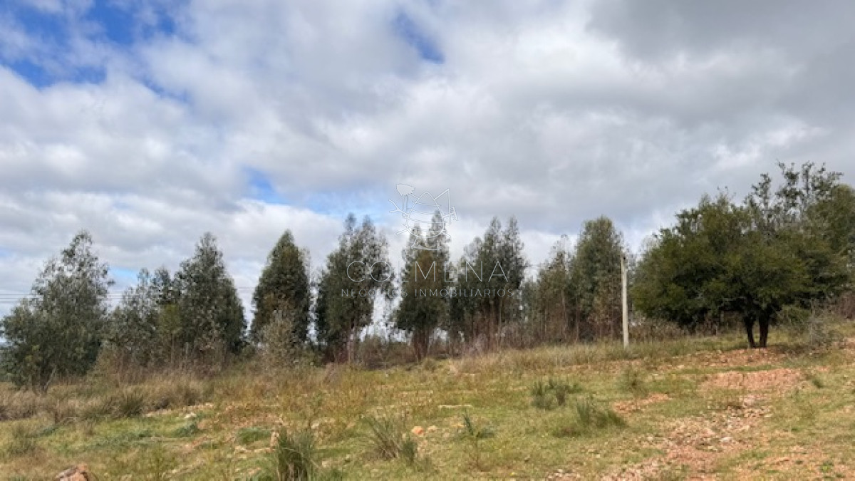 Se vende Chacra 5 has en Campanero en un alto con buena camineria. - GoPunta - Portal Inmobiliario de Punta del Este - Maldonado