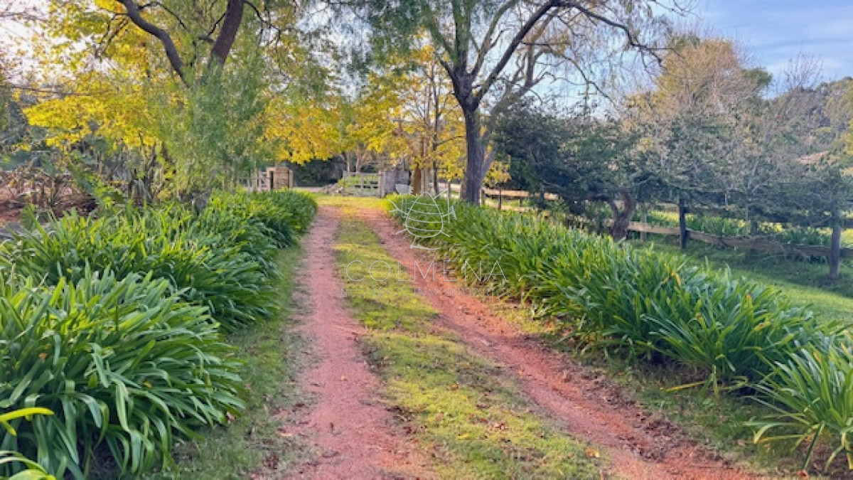 Campo de 4 has 1602 m2 muy cerca de ruta 12 y la 9. - GoPunta - Portal Inmobiliario de Punta del Este - Maldonado