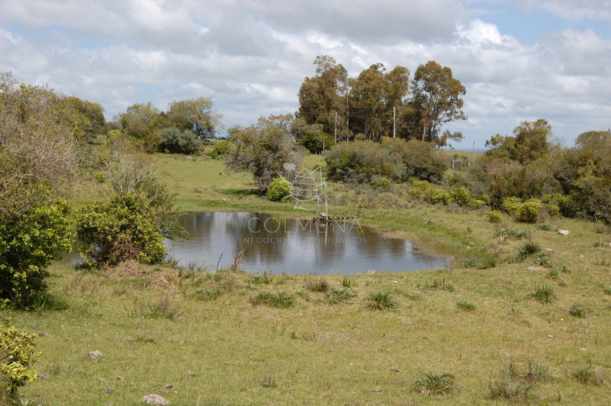 Campo 5 has con casa en Sierra de los Caracoles   Codigo 5379 - GoPunta - Portal Inmobiliario de Punta del Este - Maldonado