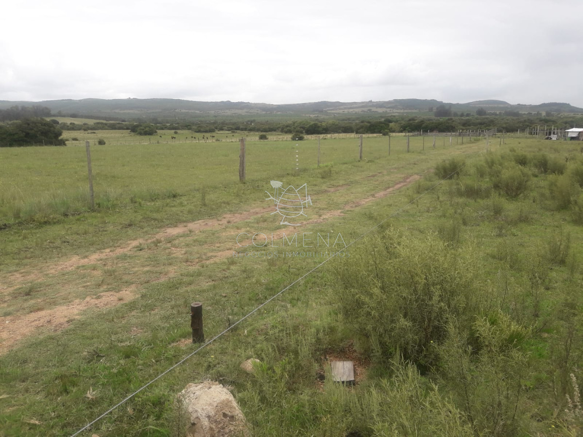 Campo de 5 has con 5891 m2 - GoPunta - Portal Inmobiliario de Punta del Este - Maldonado