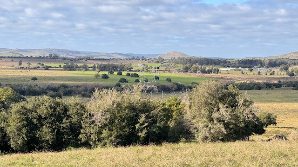 Se vende Chacra 5 has en Campanero en un alto con buena camineria. - GoPunta - Portal Inmobiliario de Punta del Este - Maldonado