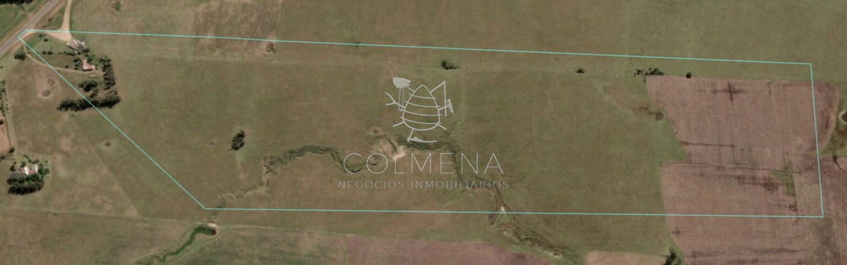 Campo de 35 has buen suelo con tajamar, cañada agua permante y Casa. - GoPunta - Portal Inmobiliario de Punta del Este - Maldonado