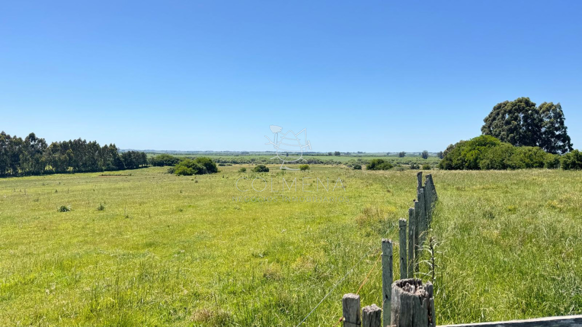 Campo en San Carlos, - GoPunta - Portal Inmobiliario de Punta del Este - Maldonado