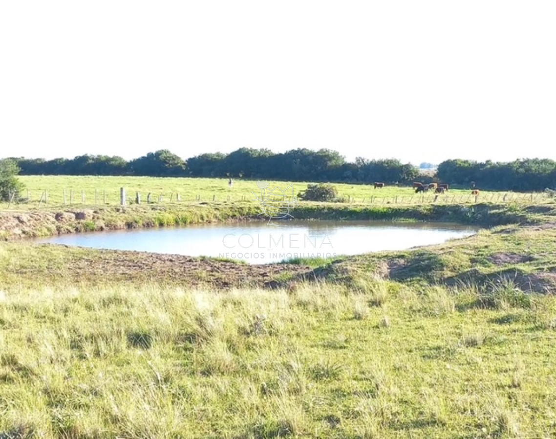 Campo 10 has 4336 m2 en Corte la Leña - GoPunta - Portal Inmobiliario de Punta del Este - Maldonado