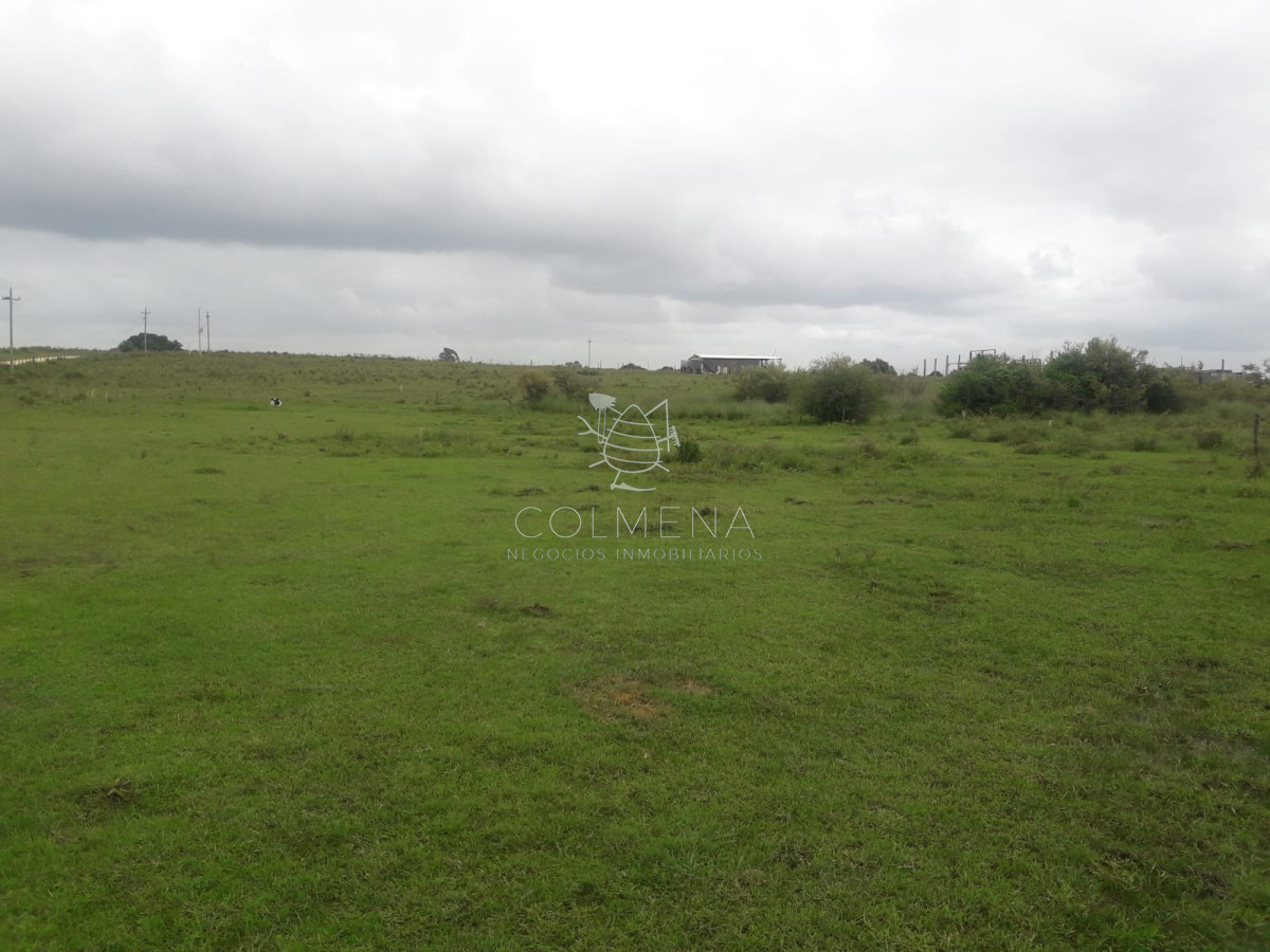 Campo de 5 has con 5891 m2 - GoPunta - Portal Inmobiliario de Punta del Este - Maldonado