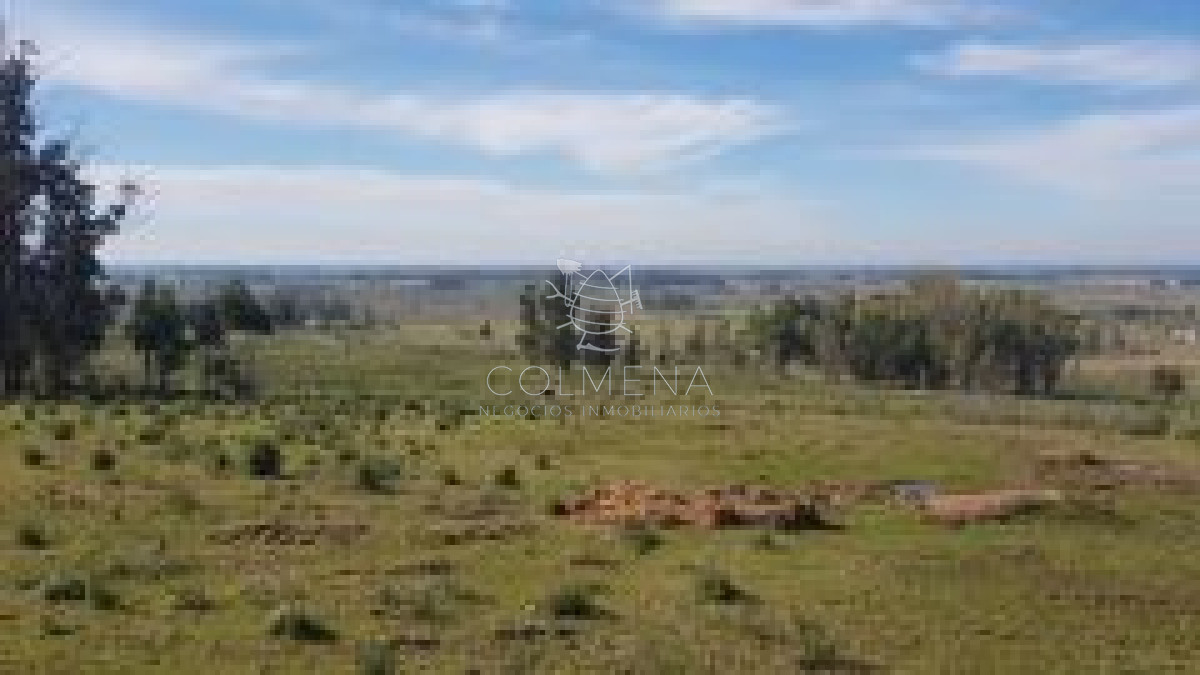 Campo de 37 has   en Los Ceibos   Las Vertientes - GoPunta - Portal Inmobiliario de Punta del Este - Maldonado