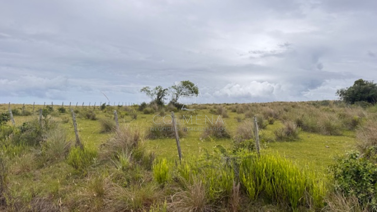 Campo de 78 has en Garzon - GoPunta - Portal Inmobiliario de Punta del Este - Maldonado