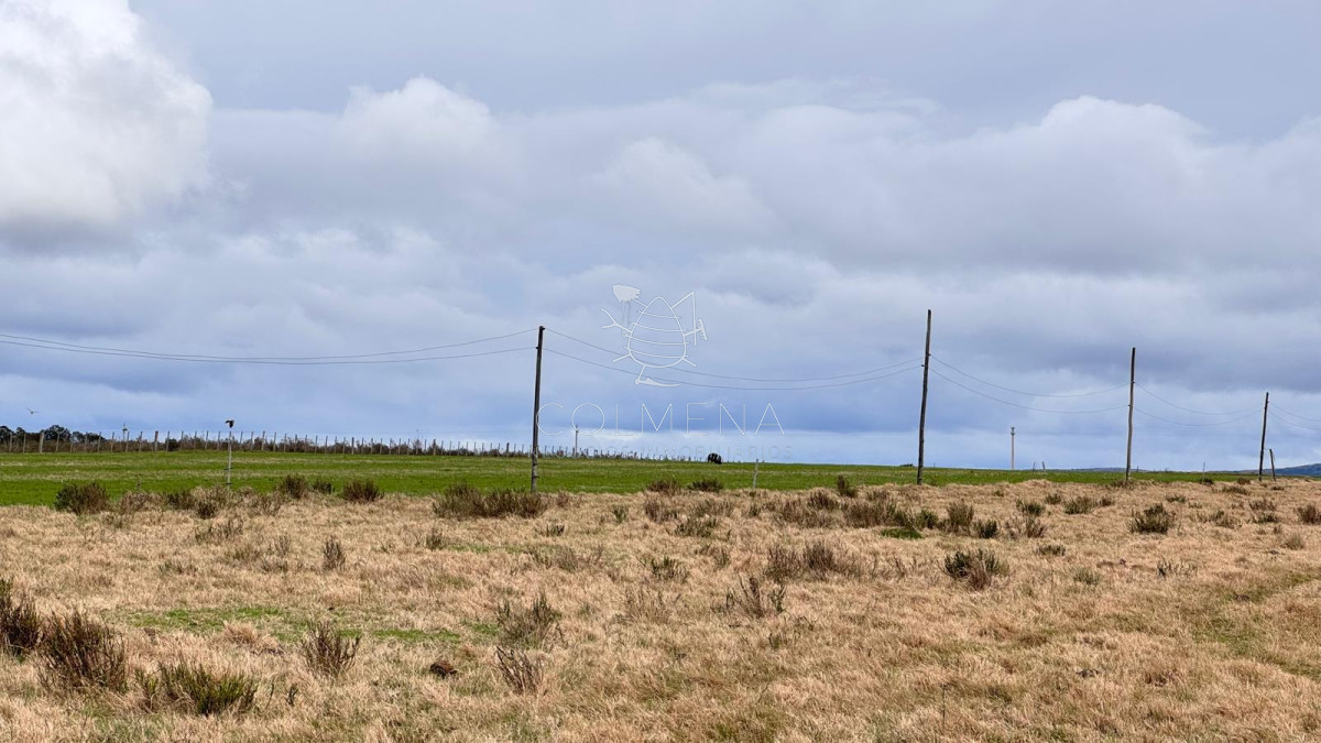 Campo de 3 has en Corte la leña - GoPunta - Portal Inmobiliario de Punta del Este - Maldonado